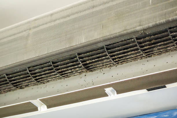 Best HVAC Duct Inspection Services  in Hillandale, MD